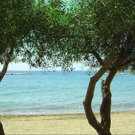 Amathusia No. 11 * Limassol