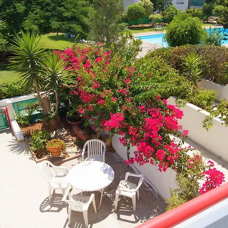 Amathusia No. 11 Limassol